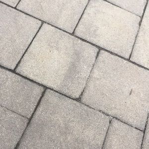 Meet your Posher, Patty